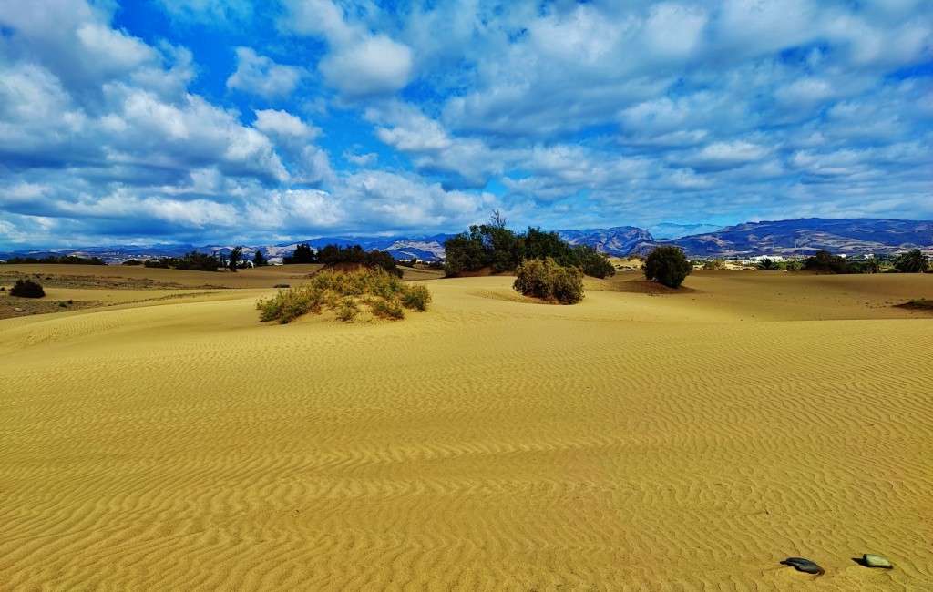 Foto: Dunas de Maspalomas - Maspalomas (Las Palmas), España