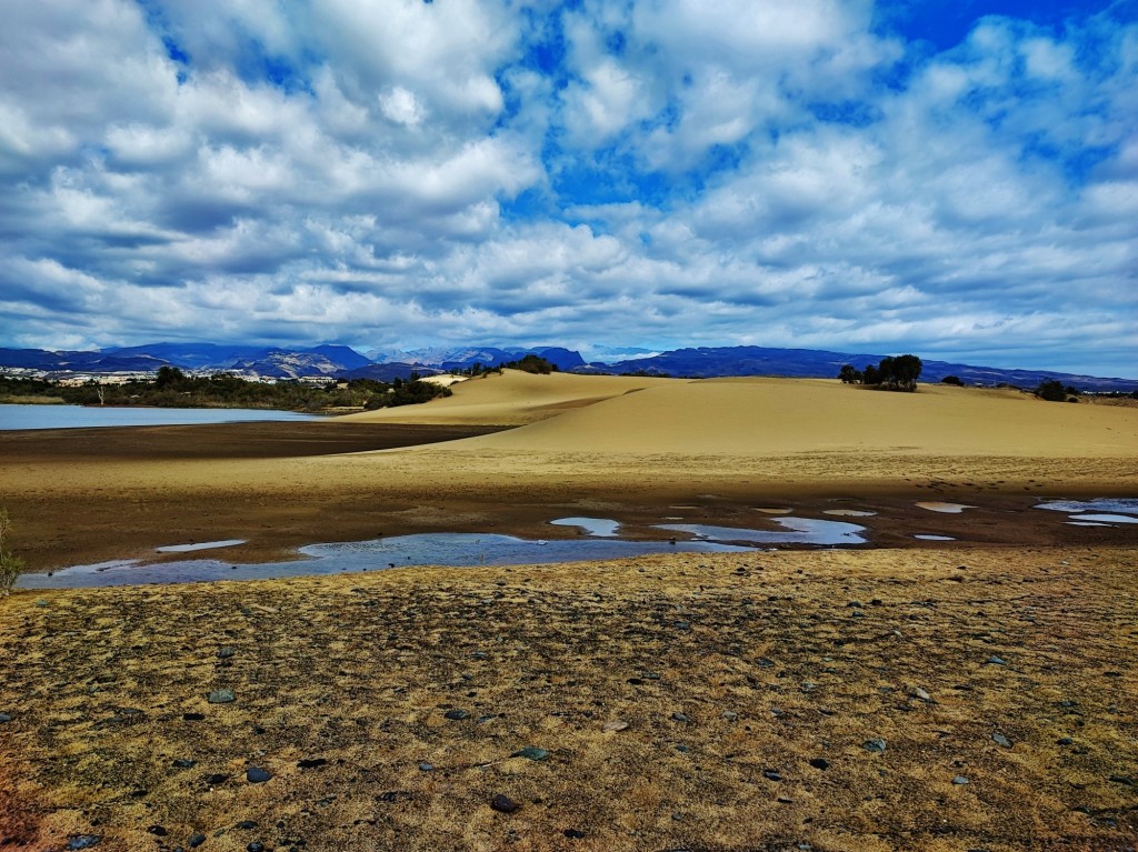 Foto: Charca de Maspalomas - Maspalomas (Las Palmas), España