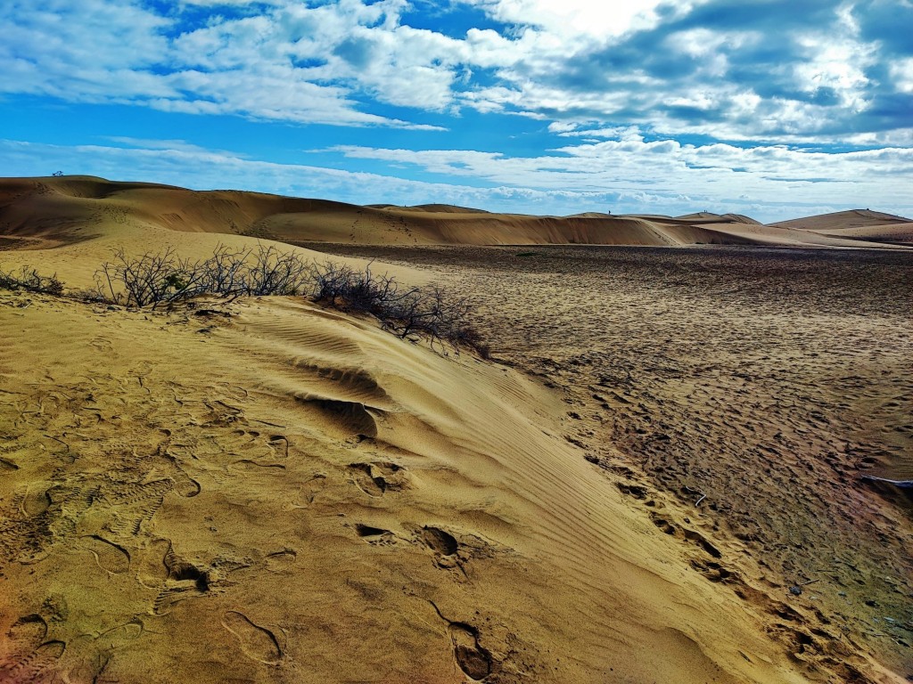 Foto: Dunas de Maspalomas - Maspalomas (Las Palmas), España