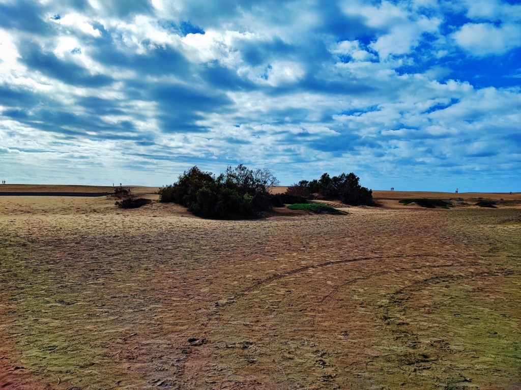 Foto: Dunas de Maspalomas - Maspalomas (Las Palmas), España