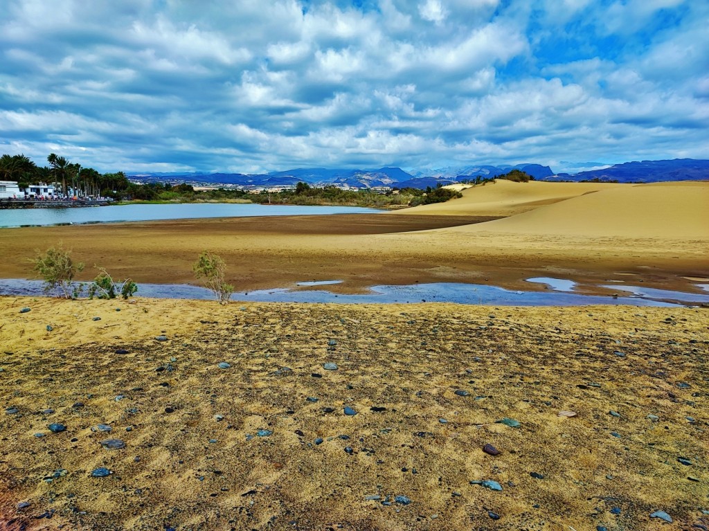 Foto: Charca de Maspalomas - Maspalomas (Las Palmas), España