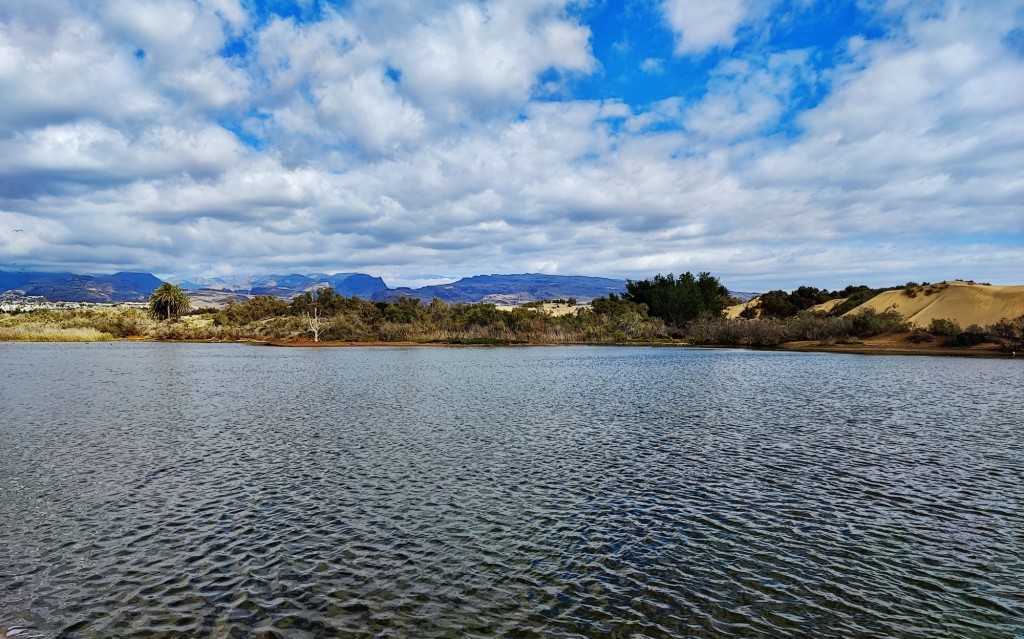 Foto: Charca de Maspalomas - Maspalomas (Las Palmas), España