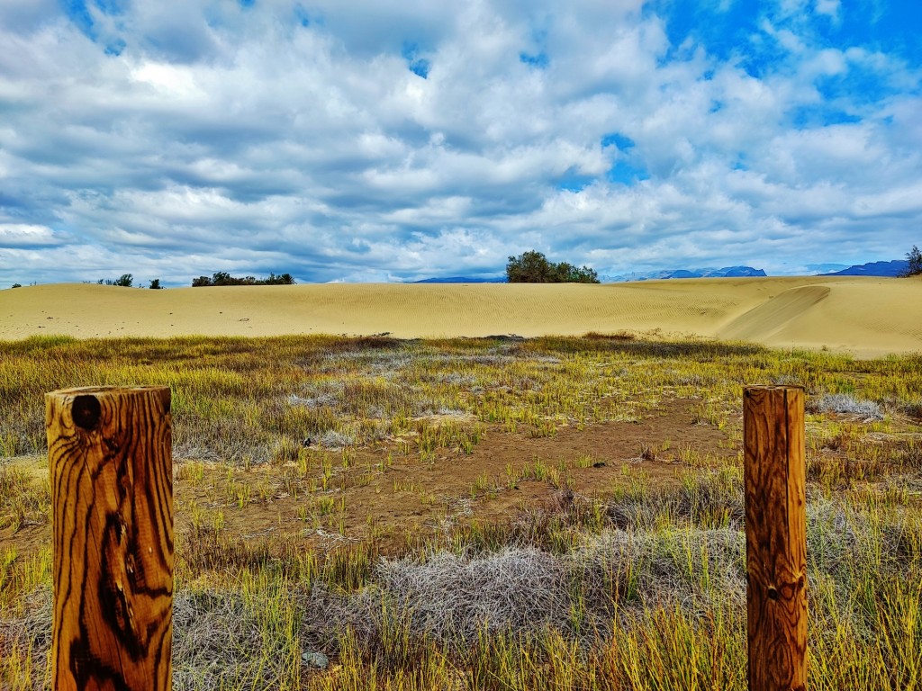 Foto: Dunas de Maspalomas - Maspalomas (Las Palmas), España