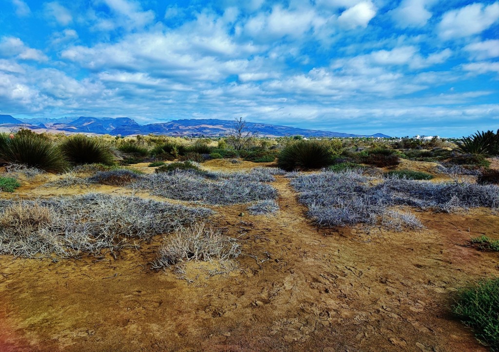 Foto: Dunas de Maspalomas - Maspalomas (Las Palmas), España