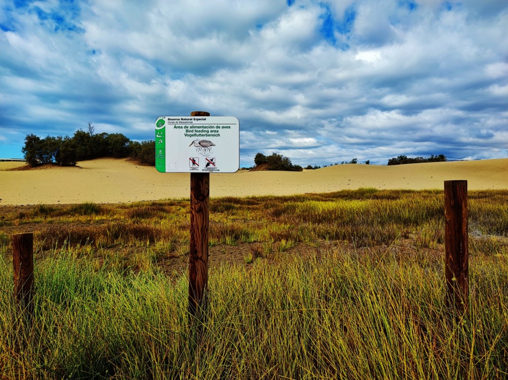 Foto: Dunas de Maspalomas - Maspalomas (Las Palmas), España
