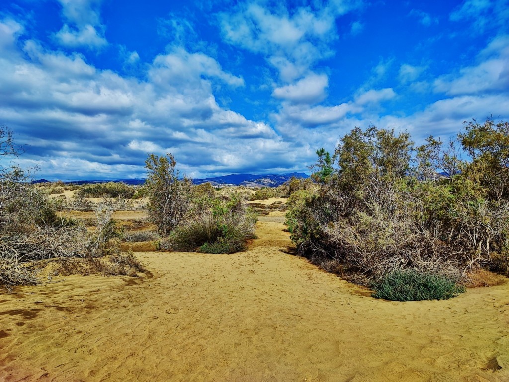 Foto: Dunas de Maspalomas - Maspalomas (Las Palmas), España
