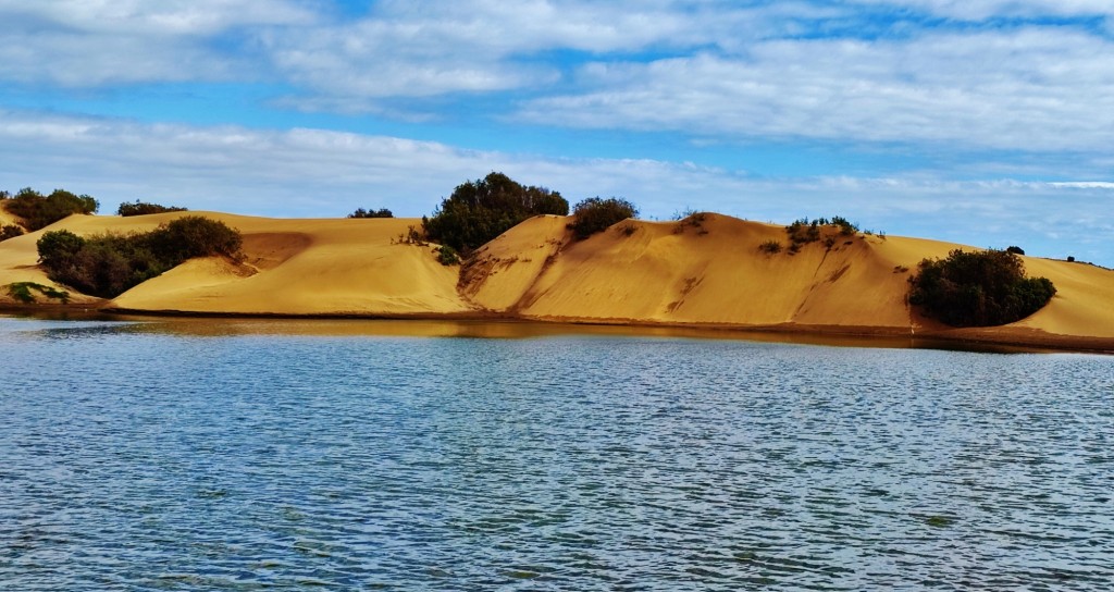 Foto: Charca de Maspalomas - Maspalomas (Las Palmas), España