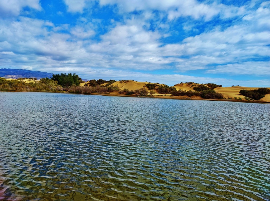 Foto: Charca de Maspalomas - Maspalomas (Las Palmas), España