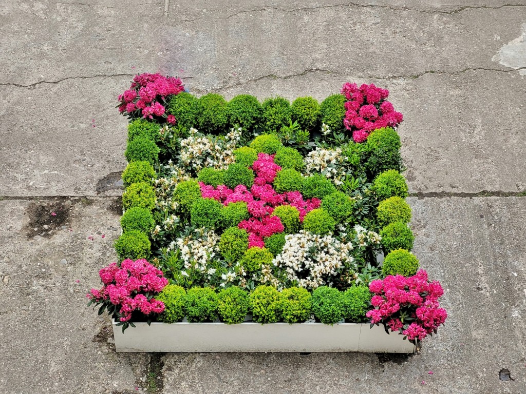 Foto: Tiempo de flores 2023 - Girona (Cataluña), España