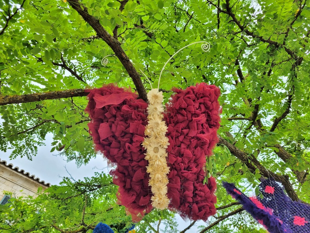 Foto: Tiempo de flores 2023 - Girona (Cataluña), España