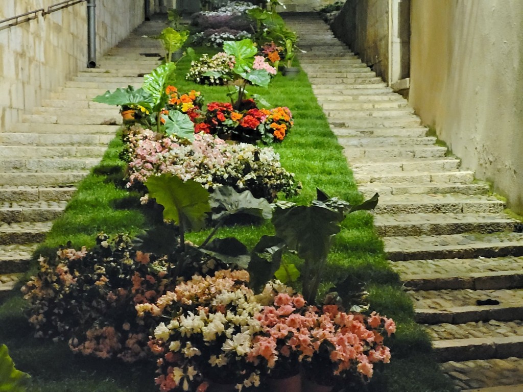 Foto: Tiempo de flores 2023 - Girona (Cataluña), España