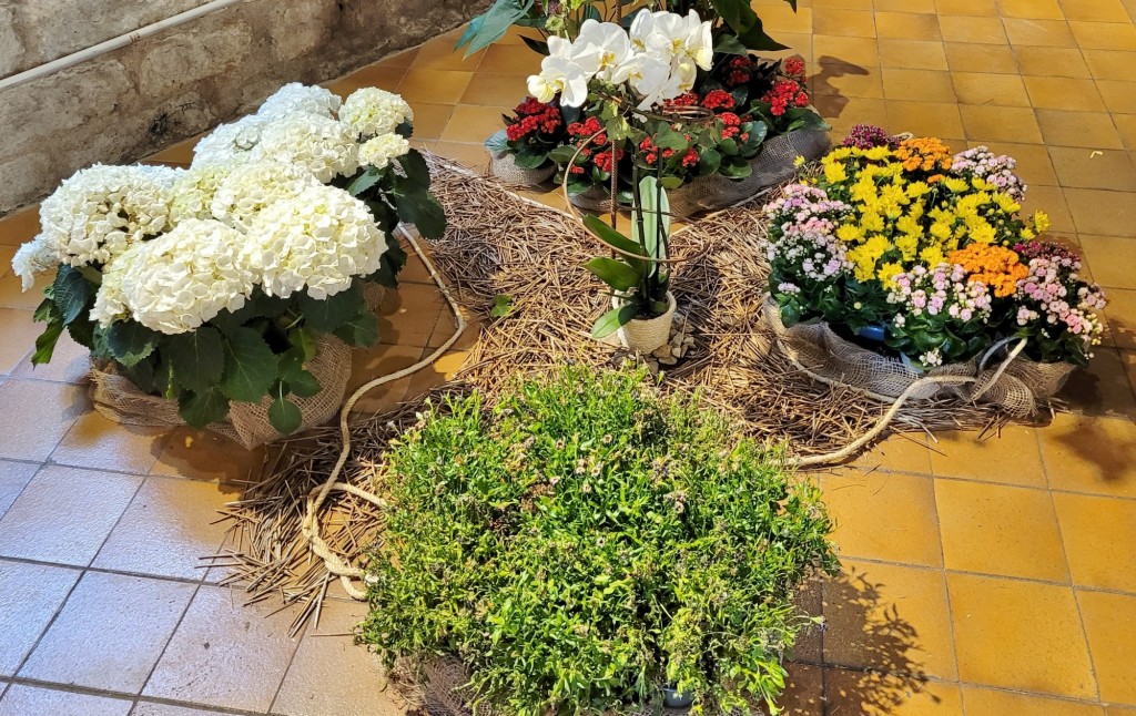 Foto: Tiempo de flores 2023 - Girona (Cataluña), España