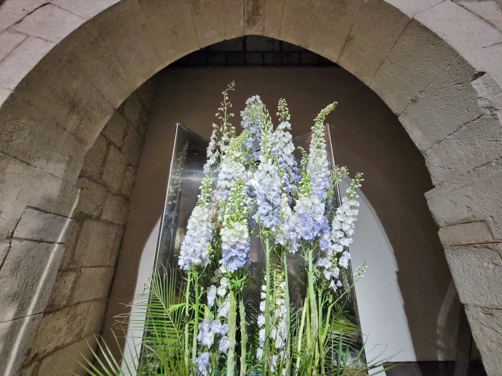 Foto: Tiempo de flores 2023 - Girona (Cataluña), España