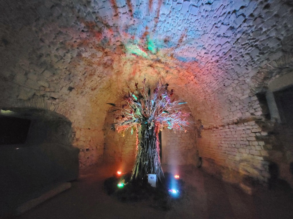 Foto: Tiempo de flores 2023 - Girona (Cataluña), España