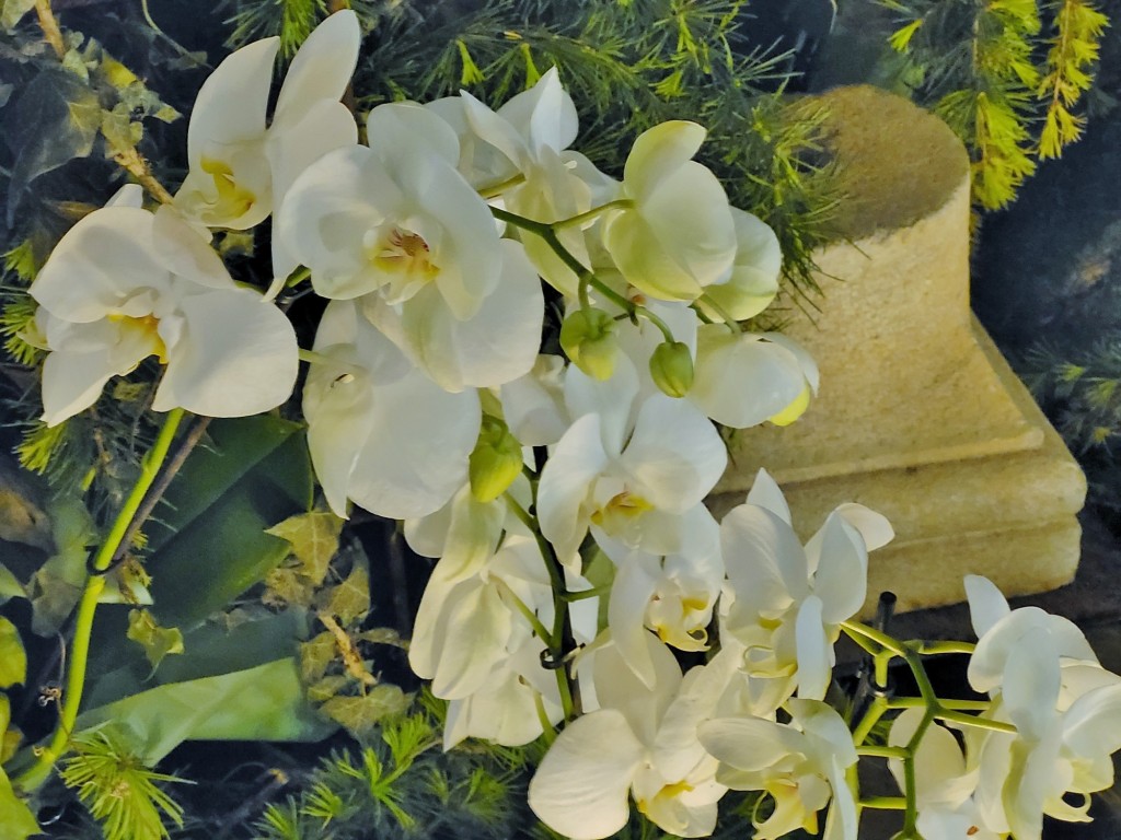 Foto: Tiempo de flores 2023 - Girona (Cataluña), España