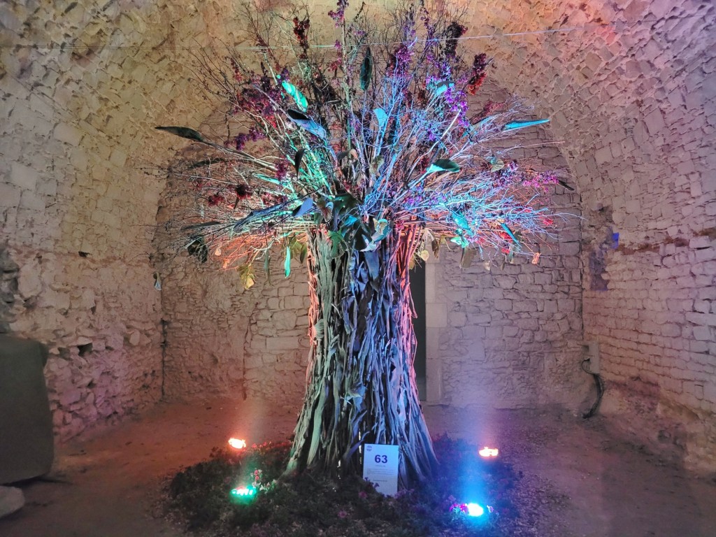 Foto: Tiempo de flores 2023 - Girona (Cataluña), España