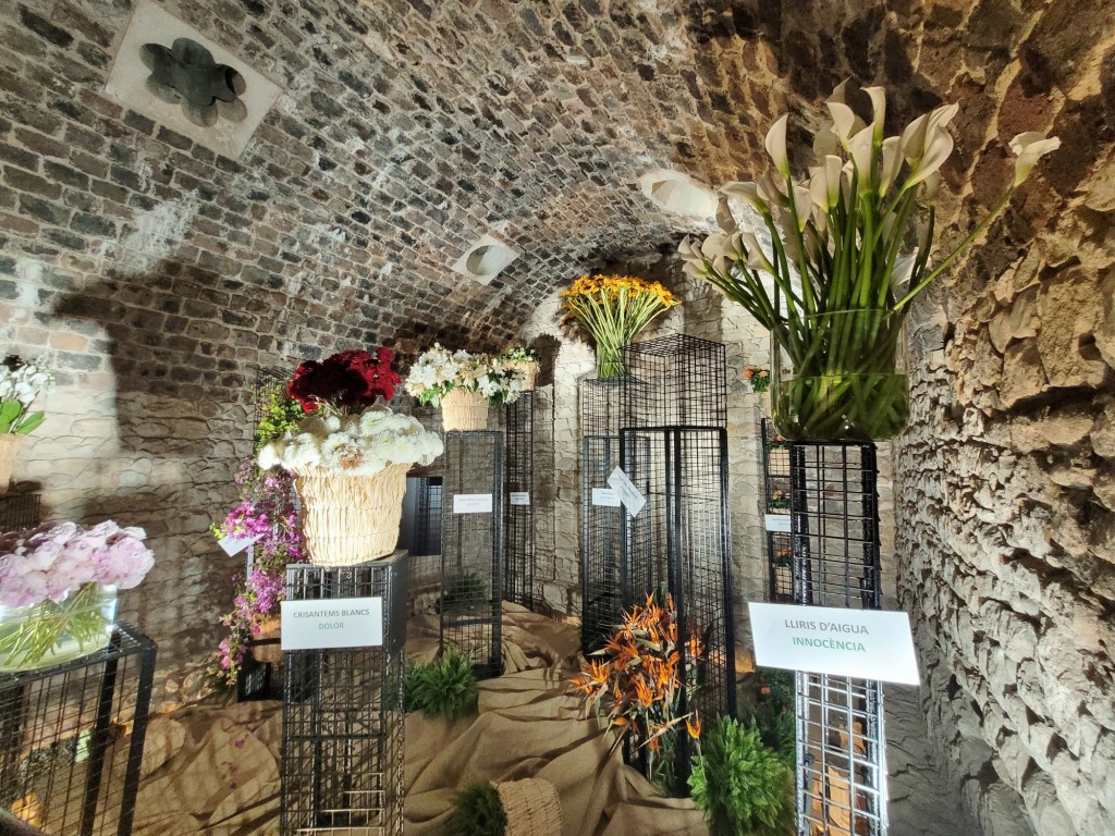 Foto: Tiempo de flores 2023 - Girona (Cataluña), España