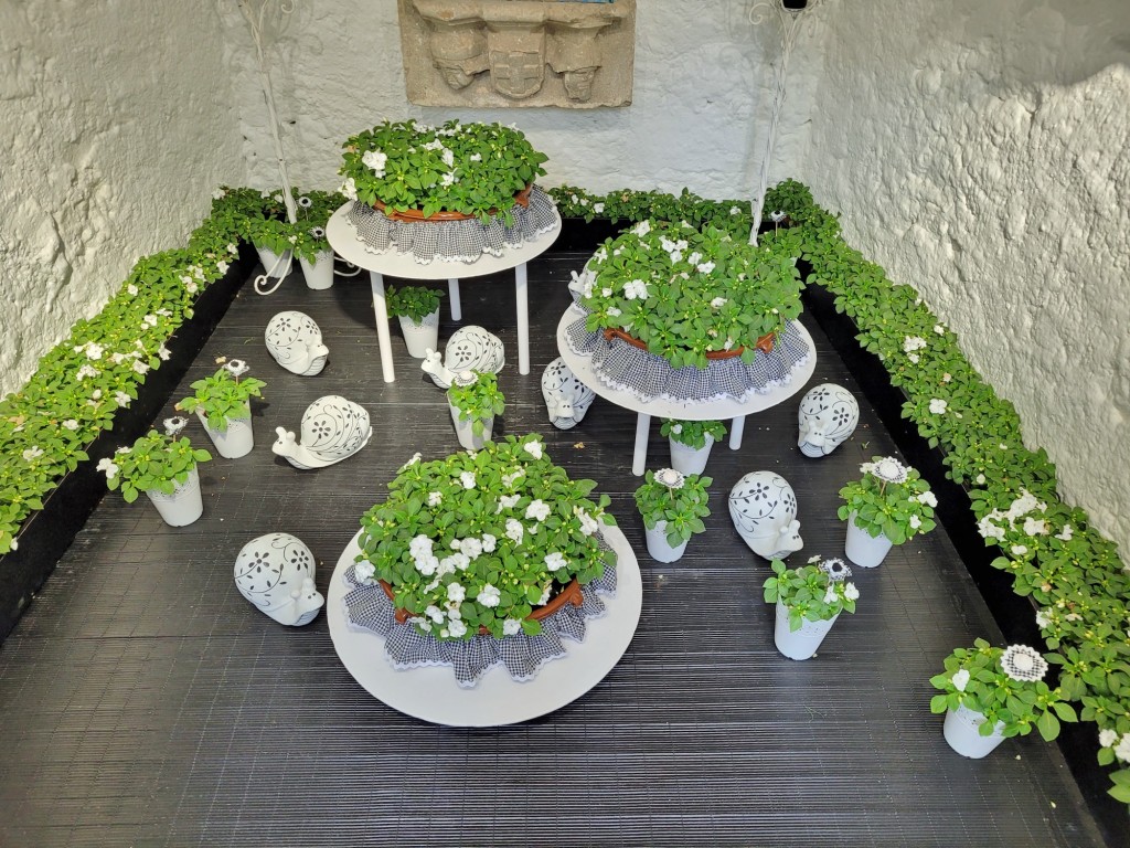 Foto: Tiempo de flores 2023 - Girona (Cataluña), España