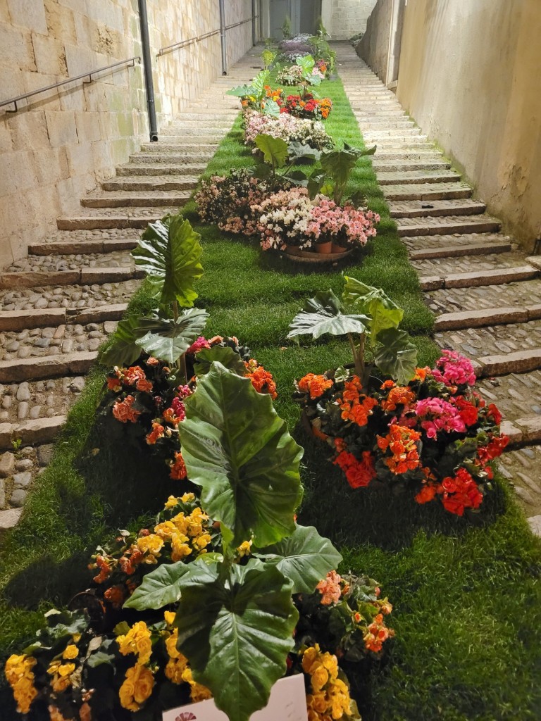 Foto: Tiempo de flores 2023 - Girona (Cataluña), España