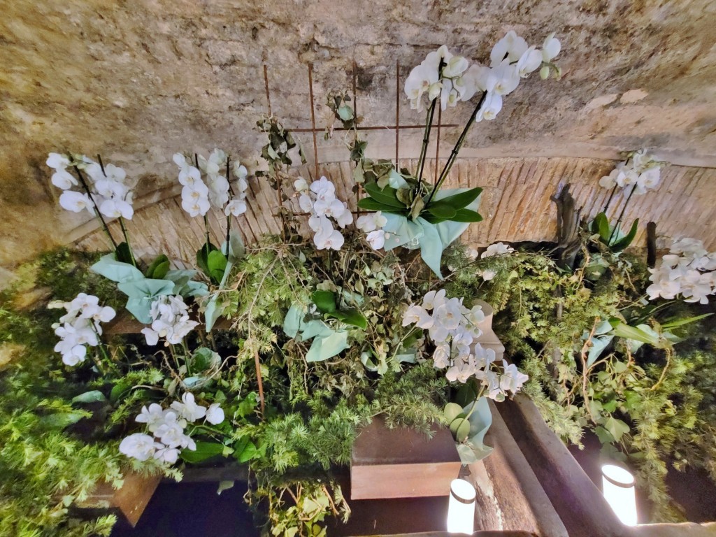 Foto: Tiempo de flores 2023 - Girona (Cataluña), España