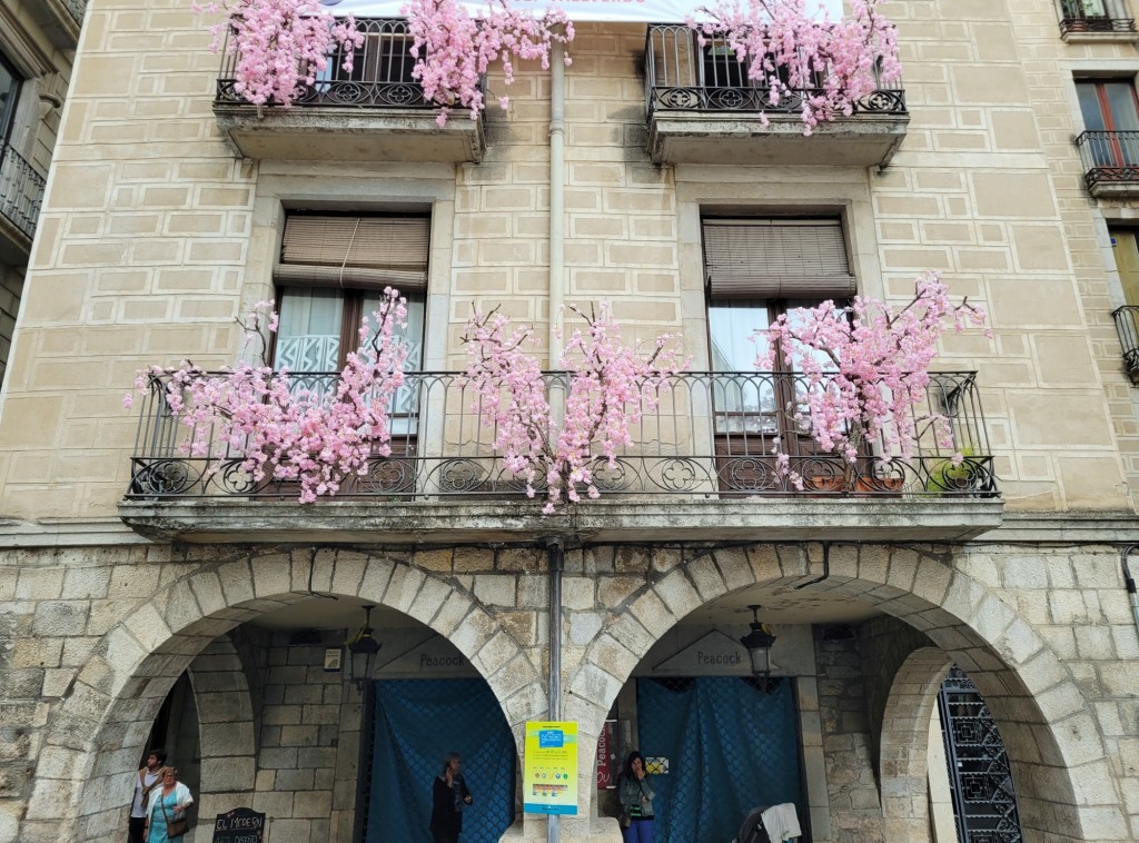 Foto: Tiempo de flores 2023 - Girona (Cataluña), España