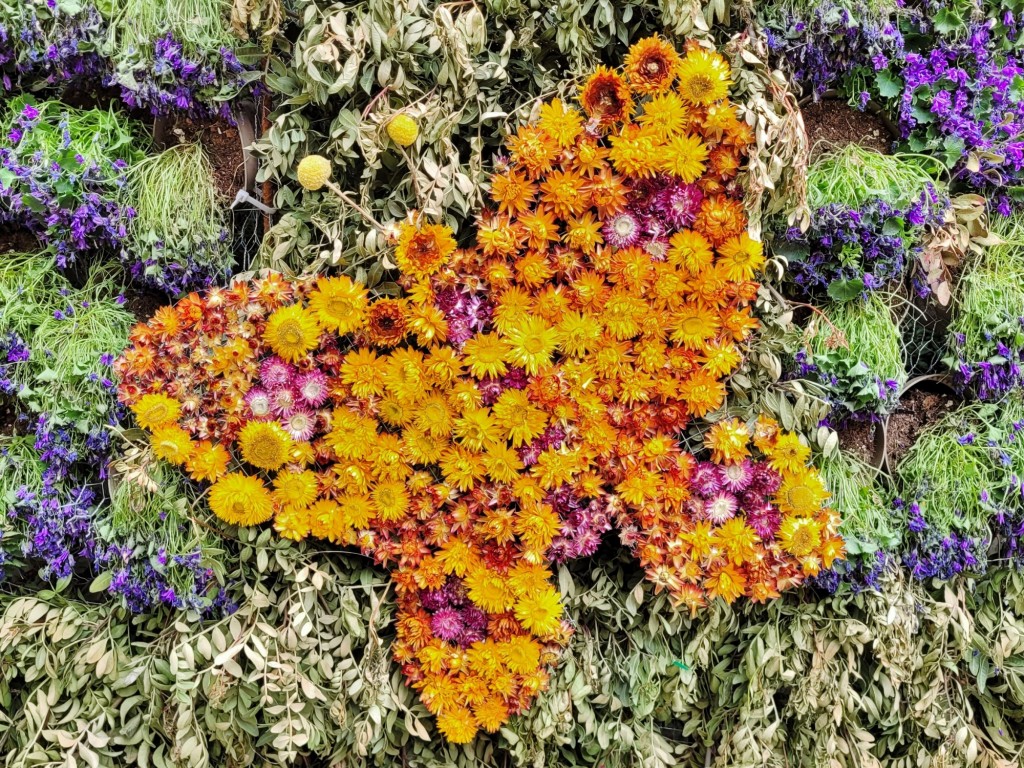 Foto: Tiempo de flores 2023 - Girona (Cataluña), España