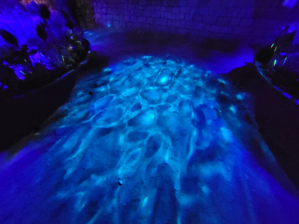 Foto: Tiempo de flores 2023 - Girona (Cataluña), España