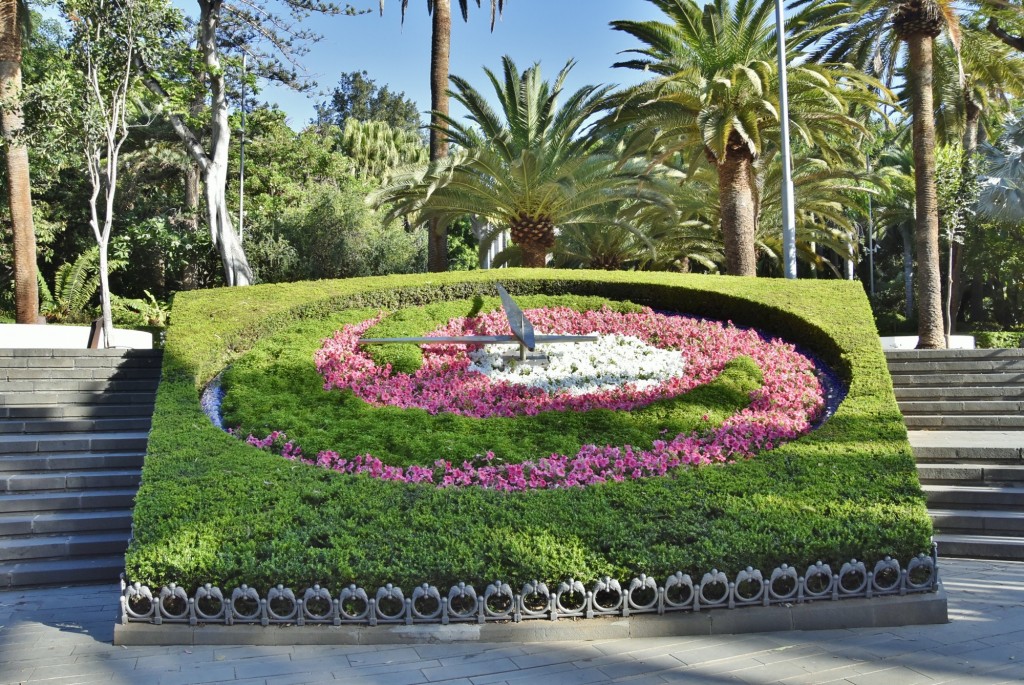 Foto: Parque García Sanabria - Santa Cruz de Tenerife (Canarias), España