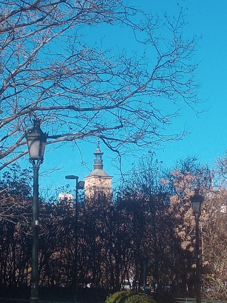 Foto: Orillas del Huerva - Zaragoza (Aragón), España