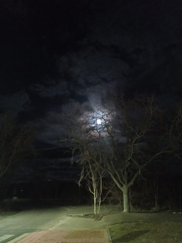Foto: Noche lunar - Calatayud (Zaragoza), España