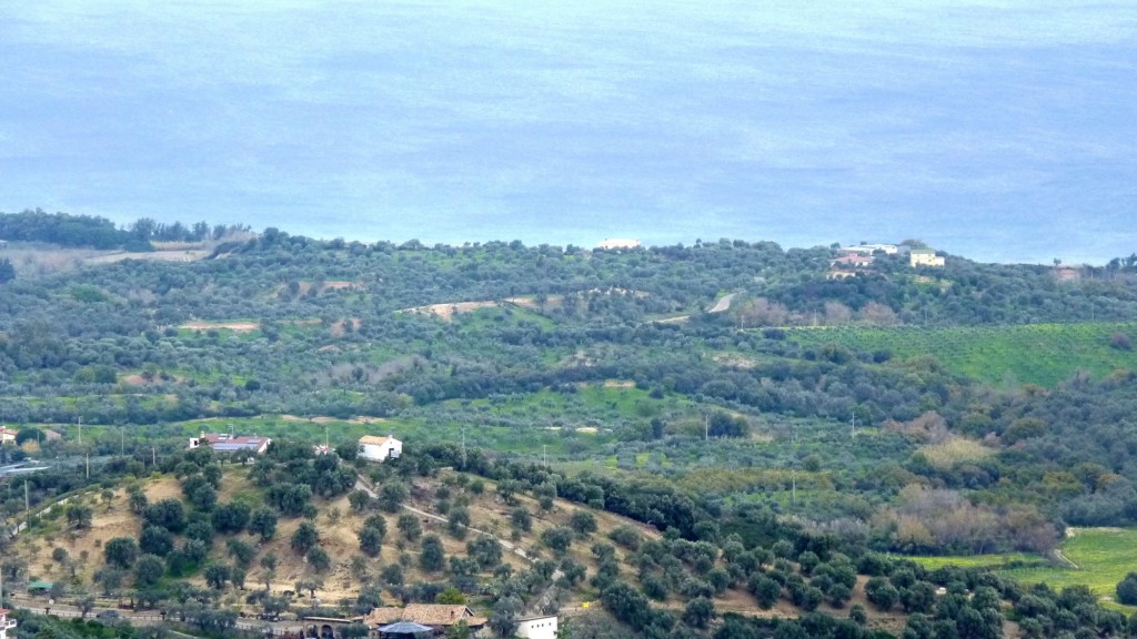 Foto: Cirò Arriba - Cirò, Crotone (Calabria), Italia