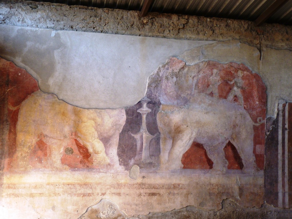 Foto: Ruinas de Pompeya - Pompeya, Nápoles (Campania), Italia