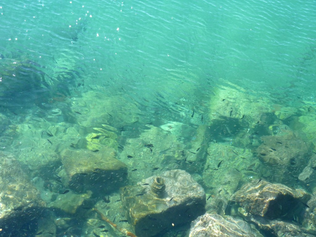 Foto: Costa Amalfitana - Amalfi (Campania), Italia