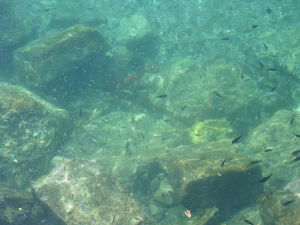 Foto: Costa Amalfitana - Amalfi (Campania), Italia