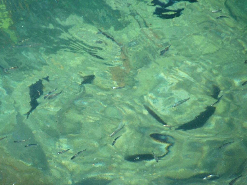 Foto: Costa Amalfitana - Amalfi (Campania), Italia