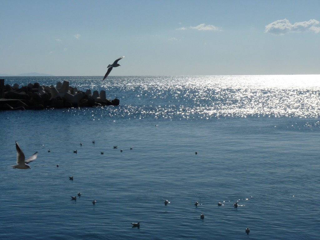 Foto: Costa Amalfitana - Amalfi (Campania), Italia