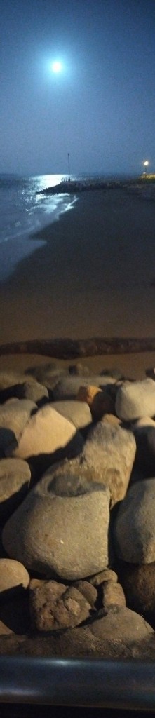 Foto de Paseo de los turistas (Puntarenas), Costa Rica