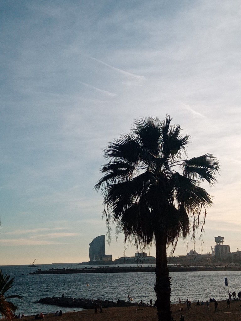 Foto: Vila Olimpica - Barcelona (Cataluña), España