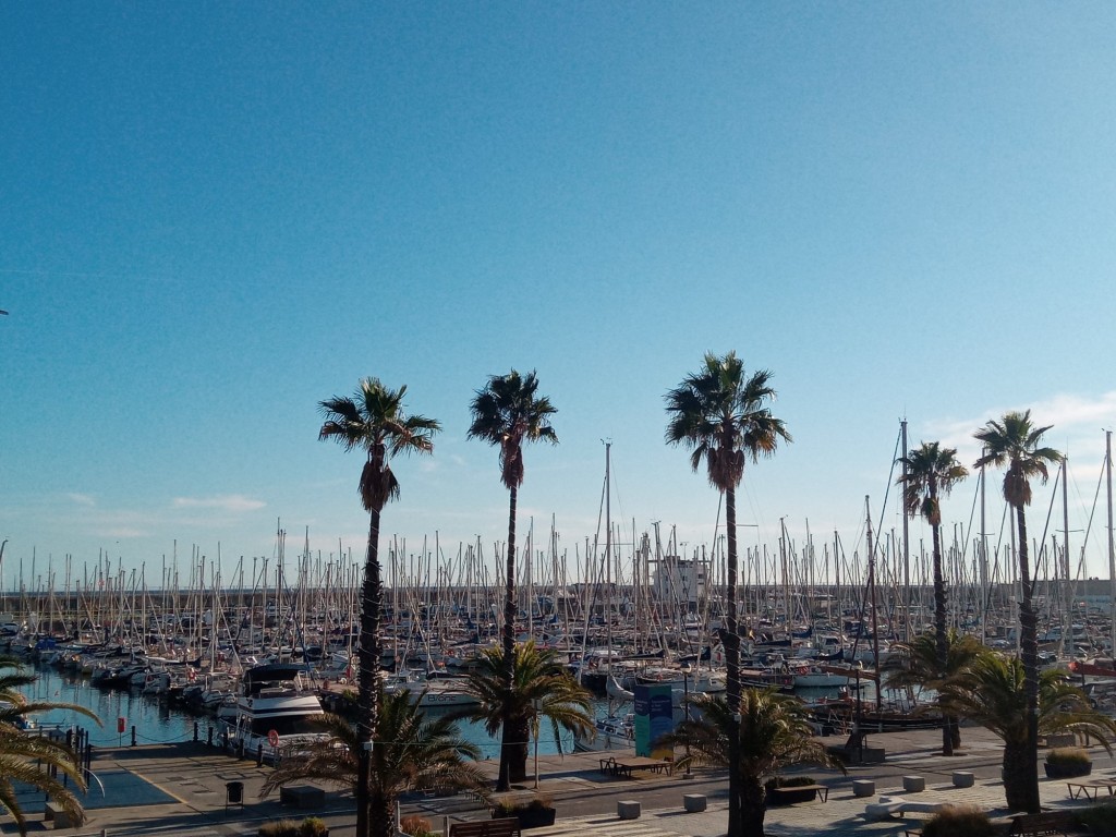 Foto: Vila Olimpica - Barcelona (Cataluña), España