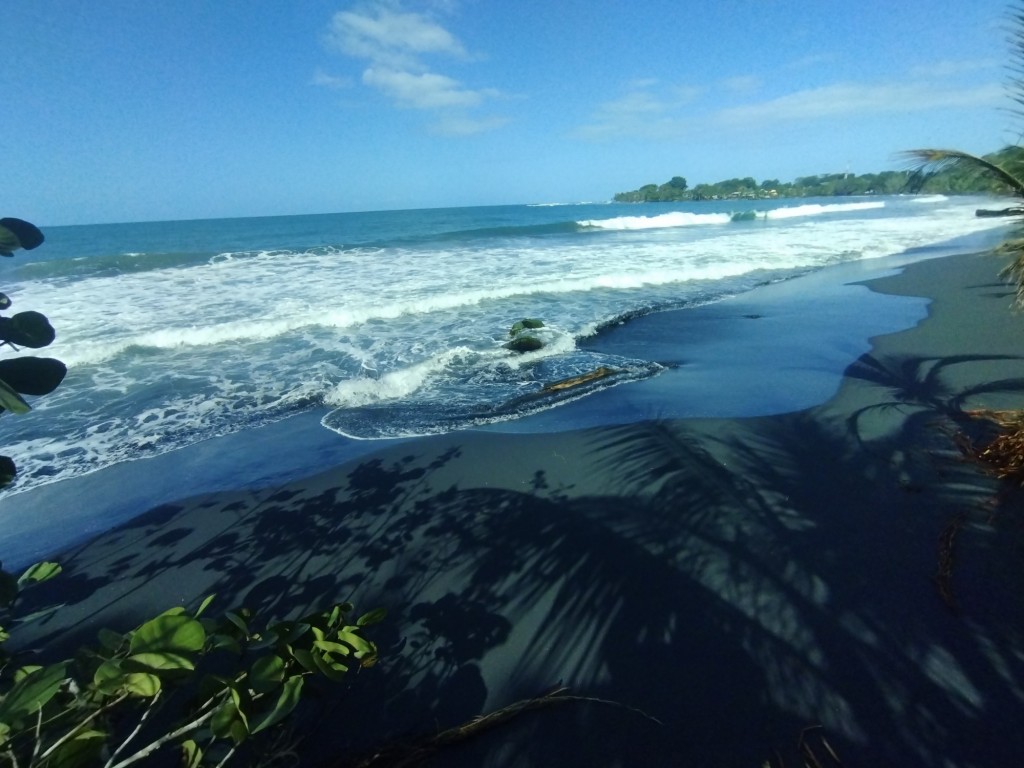 Foto: Puerto viejo - Talamanca (Limón), Costa Rica
