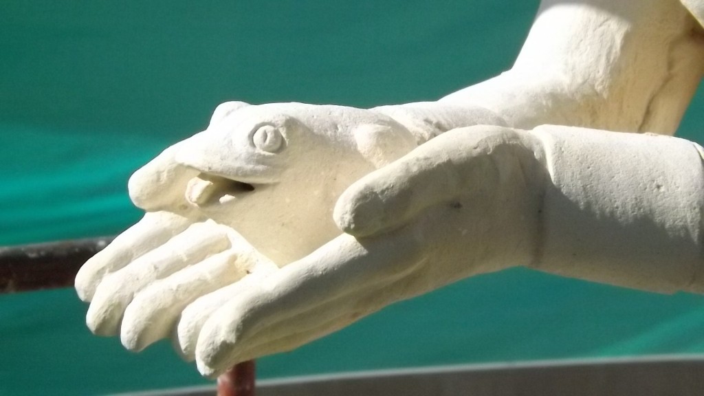 Foto: Rana escultura - Arcabuco (Boyacá), Colombia