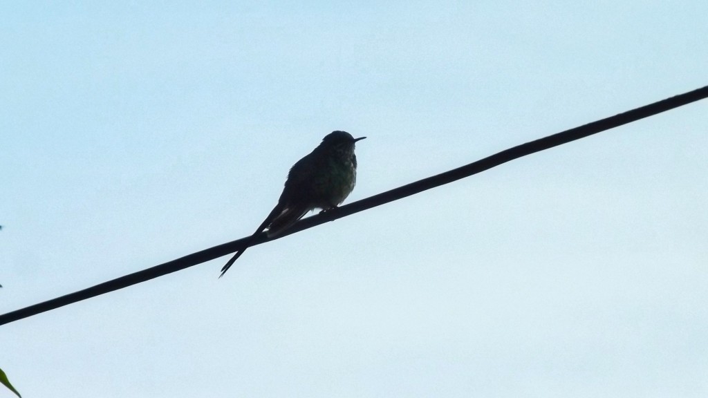 Foto de Departamento de Santander (Santander), Colombia