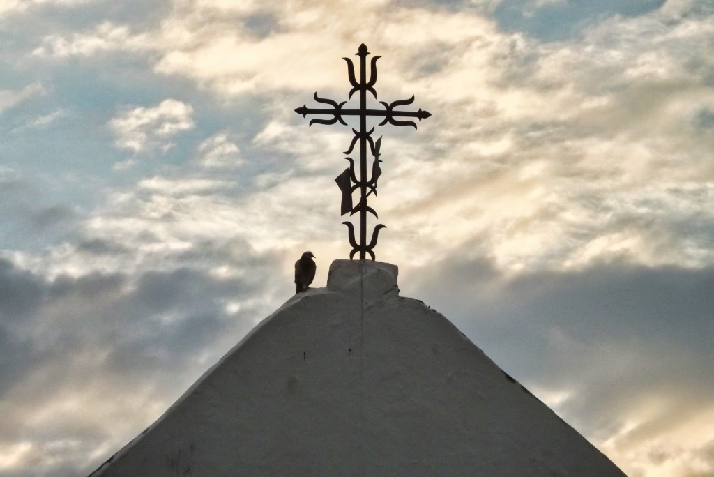 Foto: Avistamiento de aves en Santander - Santander, Colombia