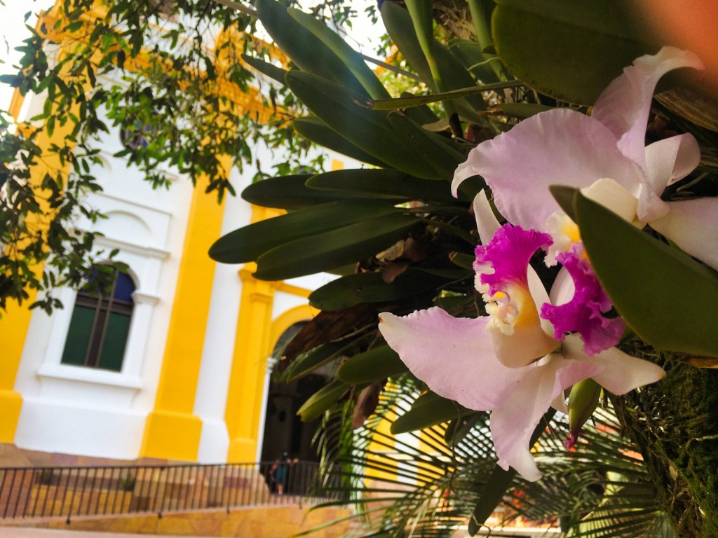 Foto de Rio Negro Santander (Santander), Colombia