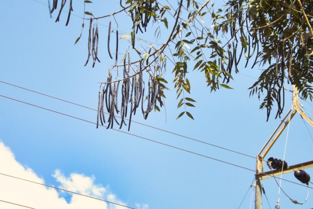 Foto de Matanza (Santander), Colombia