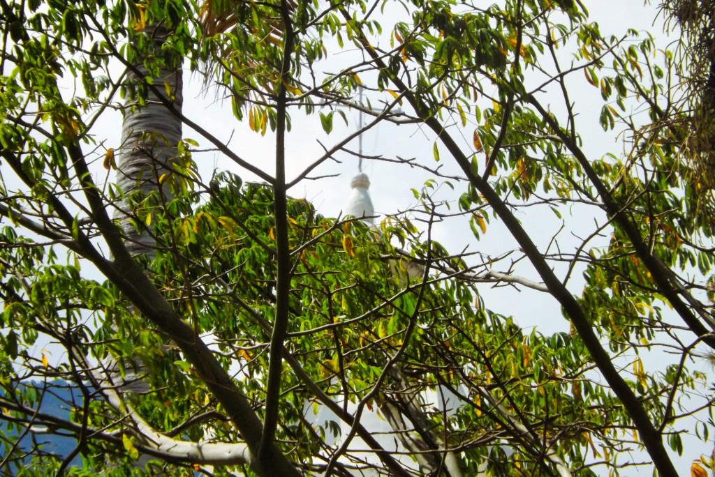 Foto de Santander, Colombia