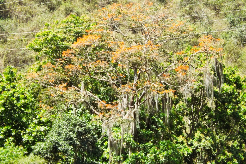 Foto de Matanza (Santander), Colombia