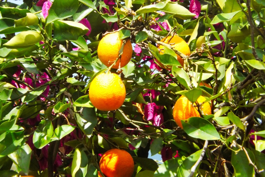 Foto de Santander, Colombia