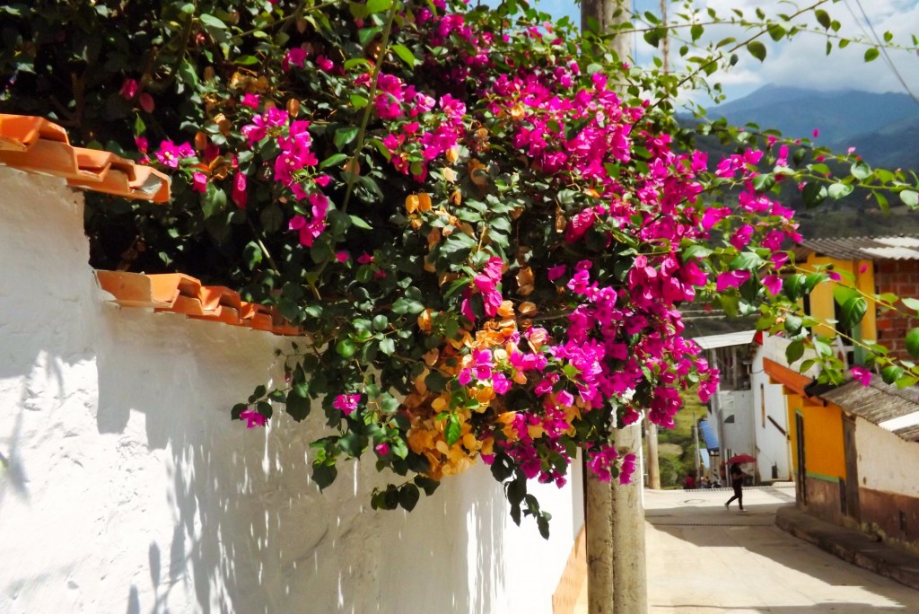 Foto de Santander, Colombia