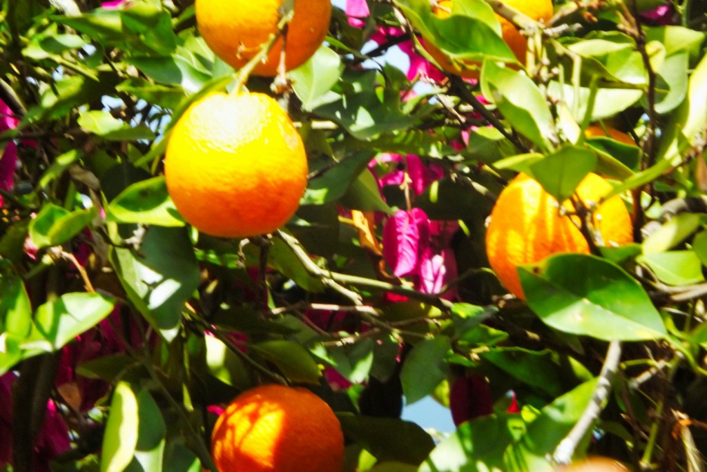 Foto de Santander, Colombia